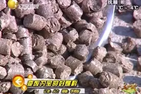 农村牛人，把秸秆“加工”成颗粒燃料，卖给村民供不应求！视频封面
