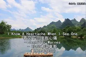 《看到了总使我心痛》（对不起全是我错）原唱：珍尼弗·温拿斯视频封面