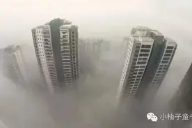 爱读书│摘下口罩，带你走进树木和森林的世界图片