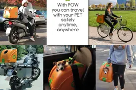 两条单身狗的旅行——POW 车载狗笼图片