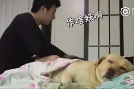 你妈叫你穿秋裤的情景再现视频封面