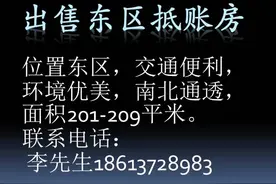法国梧桐球球惹人恼 过敏体质的市民还不少~图片