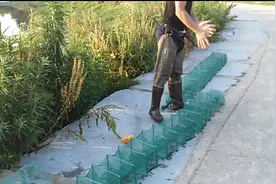 老司机带你放地笼搞龙虾秘诀视频封面