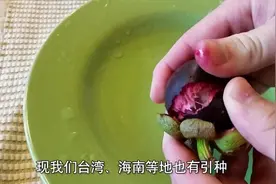 山竹为什么那么贵？有什么神奇的功效？有3种人不能吃山竹！