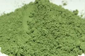 抹茶原料一年采3次，抹茶基地“覆盖遮阴”，一亩能卖近4万！视频封面