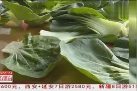 又好吃又新鲜的青菜，吃完后为何肚子痛，专家说疑似肥料或防腐剂视频封面