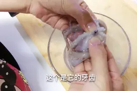 大脸妹为了满足网友好奇心，大胆解剖八爪鱼，原来脑袋里面是这样
