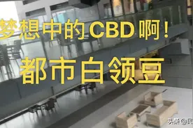 CBD小白领的工作环境，在格子间的我们视频封面