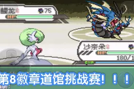 【口袋妖怪究极绿宝石4】第22章，最后一枚徽章！好难打呀！视频封面
