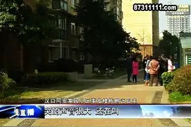 痛心！武汉15岁女孩坠楼身亡，疑因学业压力过大图片