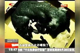 狗妈妈和幼崽被遗弃在路边，喂它们食物时出现的那一幕，心都碎了图片
