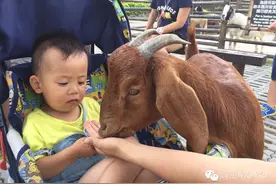一位爱旅行妈妈的分享：世界那么大 我要带你去看看图片