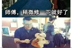 被理发师忽悠是一种怎么样的体验？哈哈哈哈笑精神了。。。图片