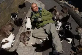 知名宠物摄影师无私分享：拍摄猫咪的10个小贴士图片
