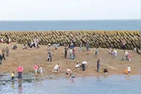 世界寻宝之旅：探索被埋藏宝藏的7大去处图片