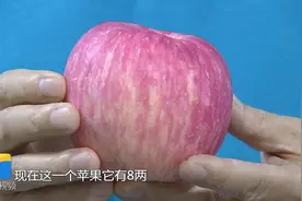 烟台苹果价格翻倍，一个能卖到近十块钱，带你揭秘价格飙升的原因视频封面