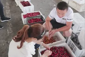 实拍烟台樱桃批发市场，大樱桃5块钱一斤，中午了还是没人买