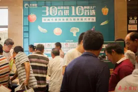 大丰收周单：四大服务助力湘南特色果蔬产业发展图片