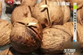 核桃为什么会发芽！由什么样的条件诱发的呢，专家来给你解释视频封面