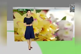 天气指数20170617_天气指数-中国气象频道视频封面