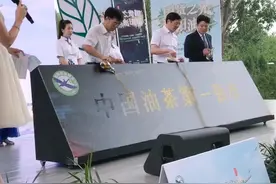 #0707世园会衡阳推介会 衡阳市人民政府副市长杨龙金发言：世界油茶看中国，中国油茶看衡阳视频封面