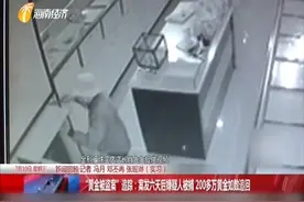 200多万黄金和8万元现金一夜被盗 案发六天后嫌疑人被抓捕归案视频封面