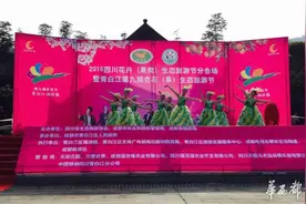 周末到青白江“杏”福赶集 赏浪漫樱花买资格欧洲货图片