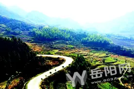 阳光明媚，平江野樱花正香图片