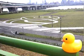 黄色小鸭又来了！？三重中兴桥下出现鸭子图腾 超萌新亮点图片