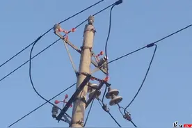 路边电线杆上橙红色东西为何物？图片