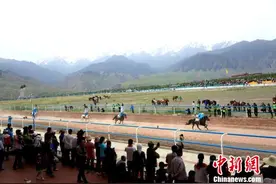 甘肃祁连山下草原赛马会上演精彩马术表演图片