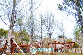 昆明首个“折叠”公园白马城市公园本月完工图片