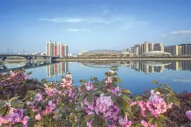 永定区丨“六城同创”你我同行图片