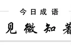 早安成语｜见微知著 于琐碎中发现精致图片