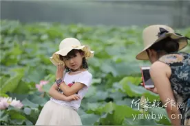 临沂今夏赏荷指南来了 赏荷之美请莫伤荷图片