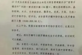 游客“手滑”摔断售价30万玉镯续：第三方估价18万图片