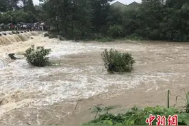 湖北黄梅一男子骑摩托车涉水受困 消防紧急救援图片