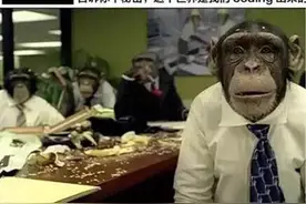 过来人告诉你 专业该怎么选——计算机专业除了“修电脑”还能做什么？图片