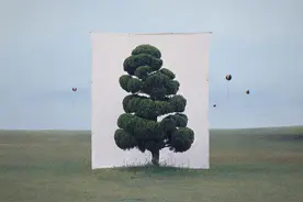 一棵树，一棵树，彼此孤离地兀立着图片