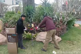 化肥有哪些习性？图片