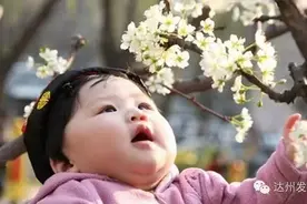 阳春三月带上家人一起去这些地方赏花吧！图片