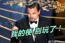 小李子20多年的梗已经有人给它立碑了！图片