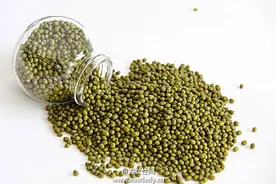 孕妇可以喝绿豆汤吗 六个禁忌不马虎！图片