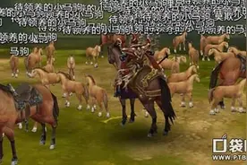 高品质马获得 御龙在天手游家族牧场怎么玩图片