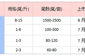 三四月份养殖池塘管理方案图片