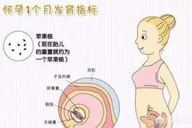准妈妈怀孕每个月应注意什么？图片