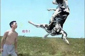 视野 | 会“飞”的石头！图片