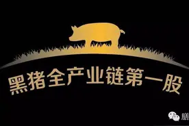“黑猪全产业链第一股”青莲食品成功挂牌“新三板”图片