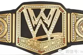 WWE史上所有的WWE重量级冠军腰带，你都见过嘛图片