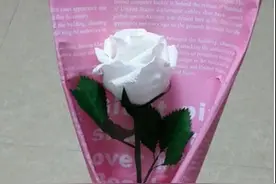 天真纯洁的白玫瑰折纸图解教程图片